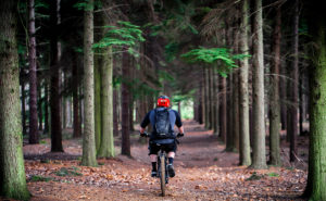 Oklahoma is a cyclist's paradise. Here, a man rides his bike down an Oklahoma biking trail.